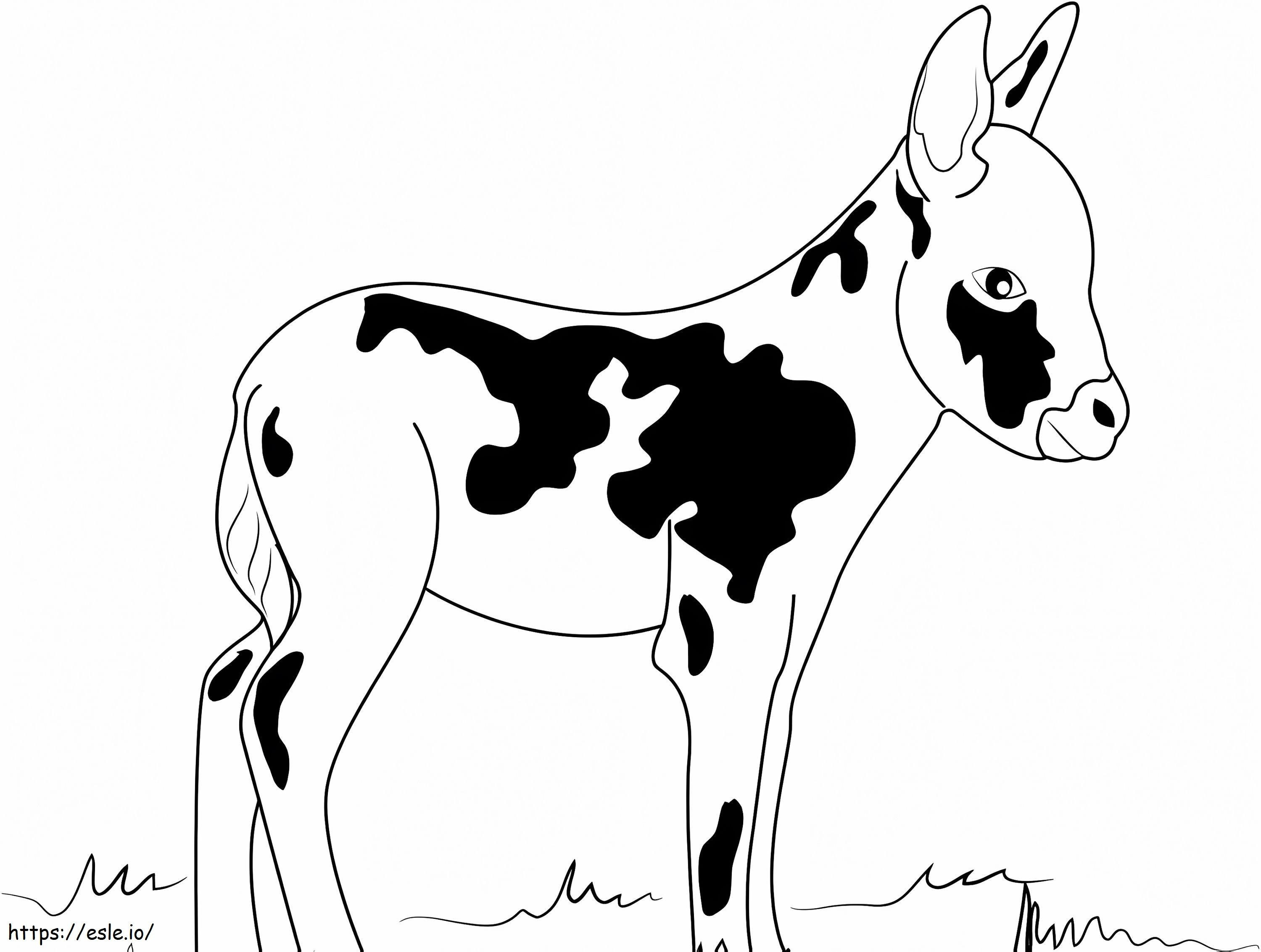Miniature Donkey coloring page