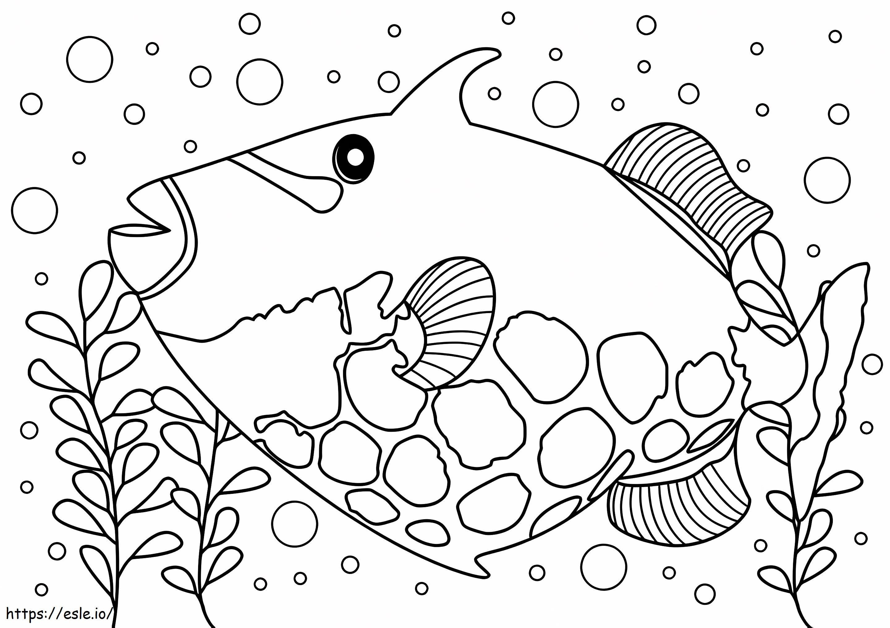 Triggerfish coloring page