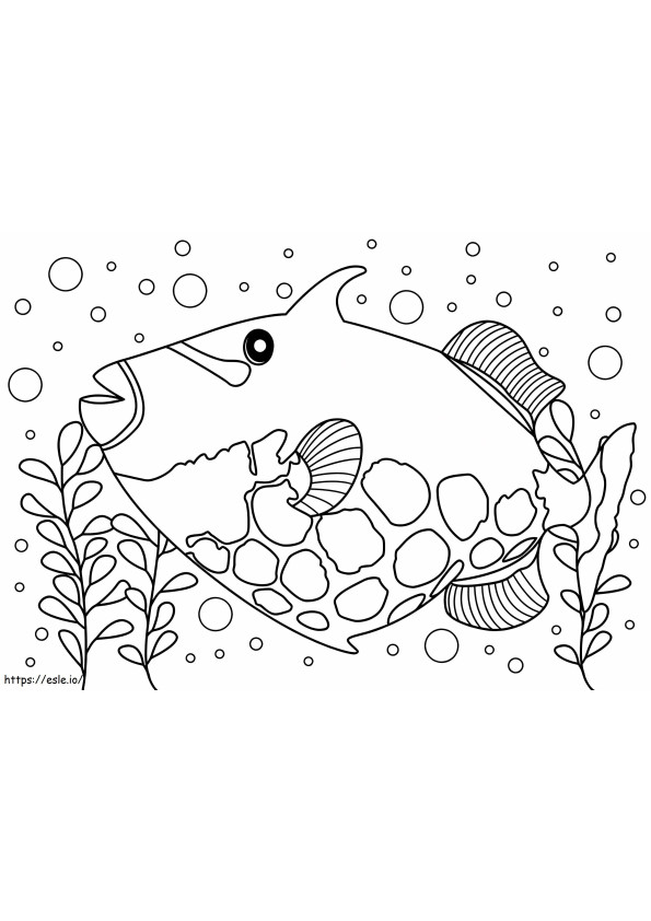 Triggerfish kolorowanka