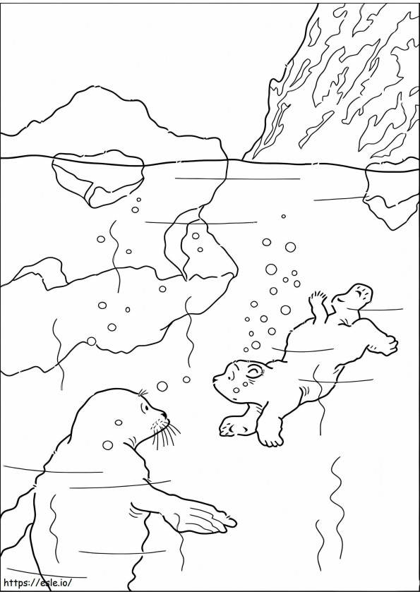 Coloriage Deux ours polaires nagent à imprimer dessin