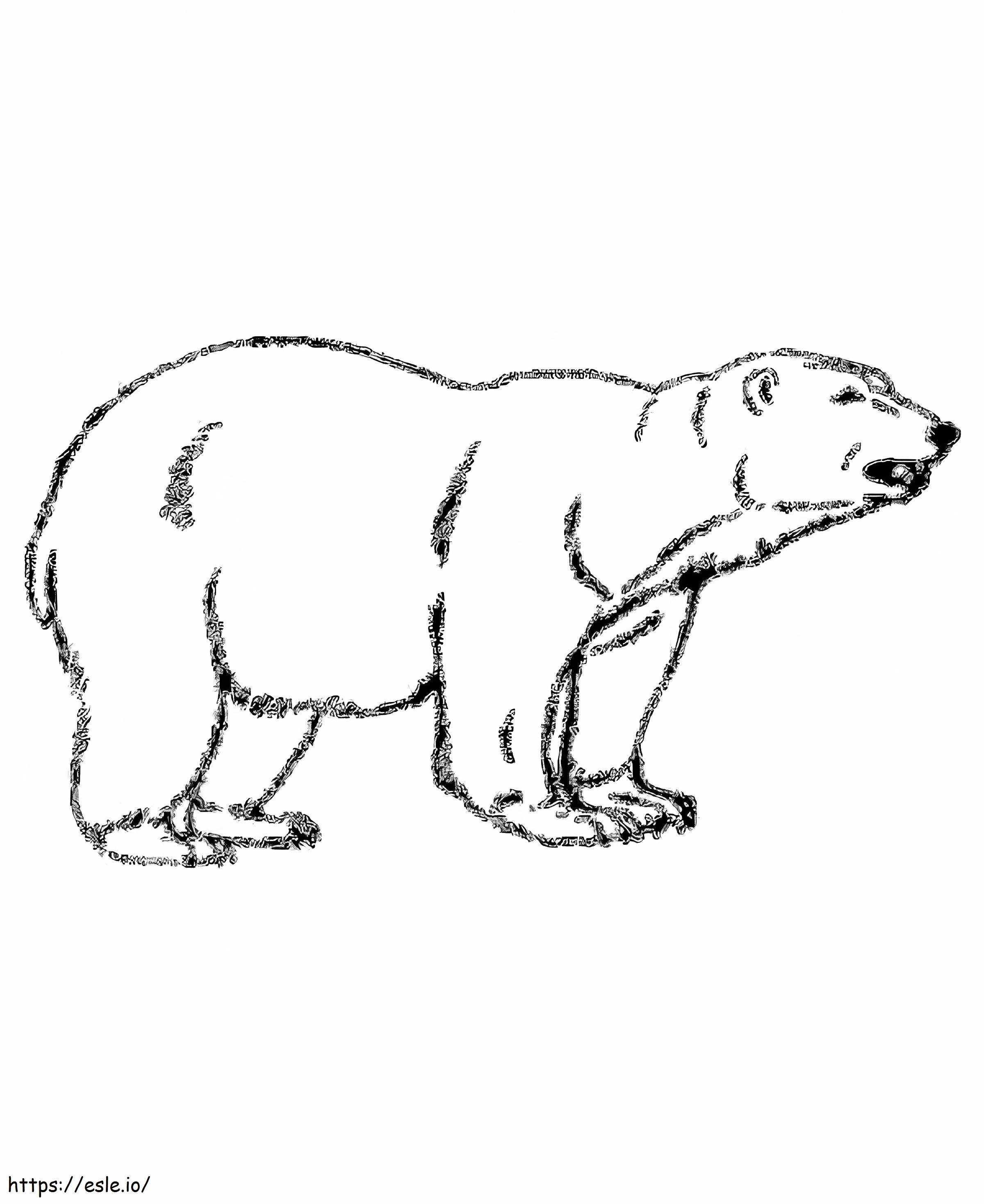Perus jääkarhu värityskuva