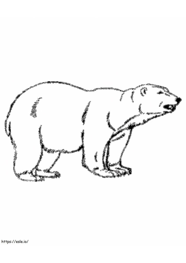 Urso de Gelo Básico para colorir