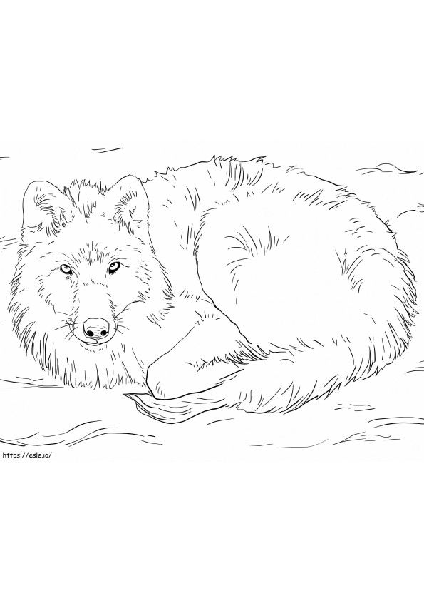 Lobo ártico tendido sobre la nieve para colorear