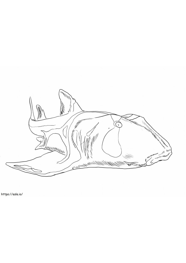 Tiburon De Port Jackson para colorir