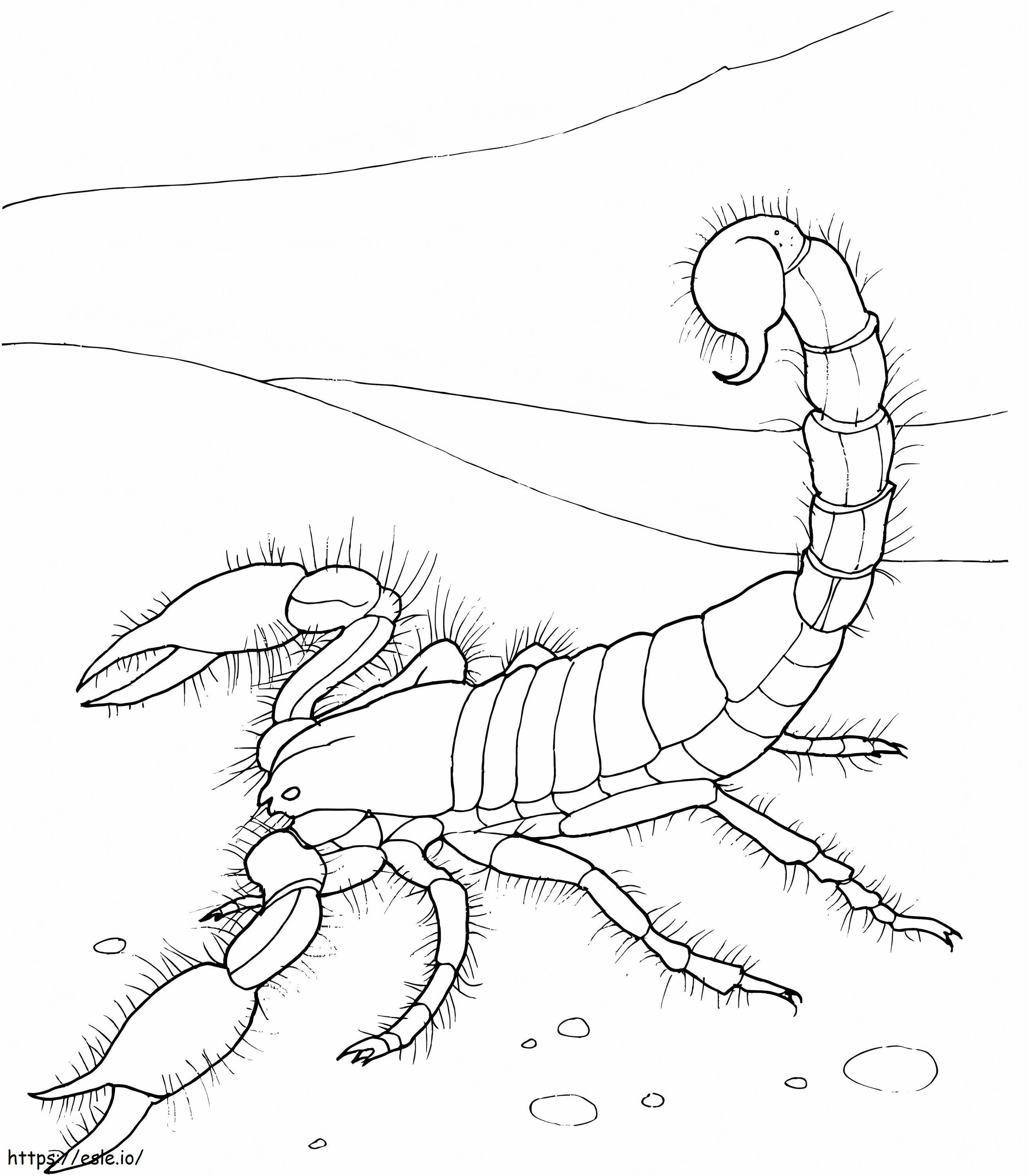 Scorpion uriaș din deșert de colorat