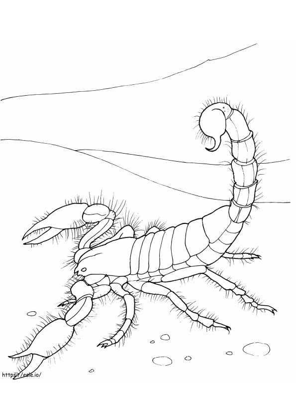 Coloriage Scorpion géant du désert à imprimer dessin