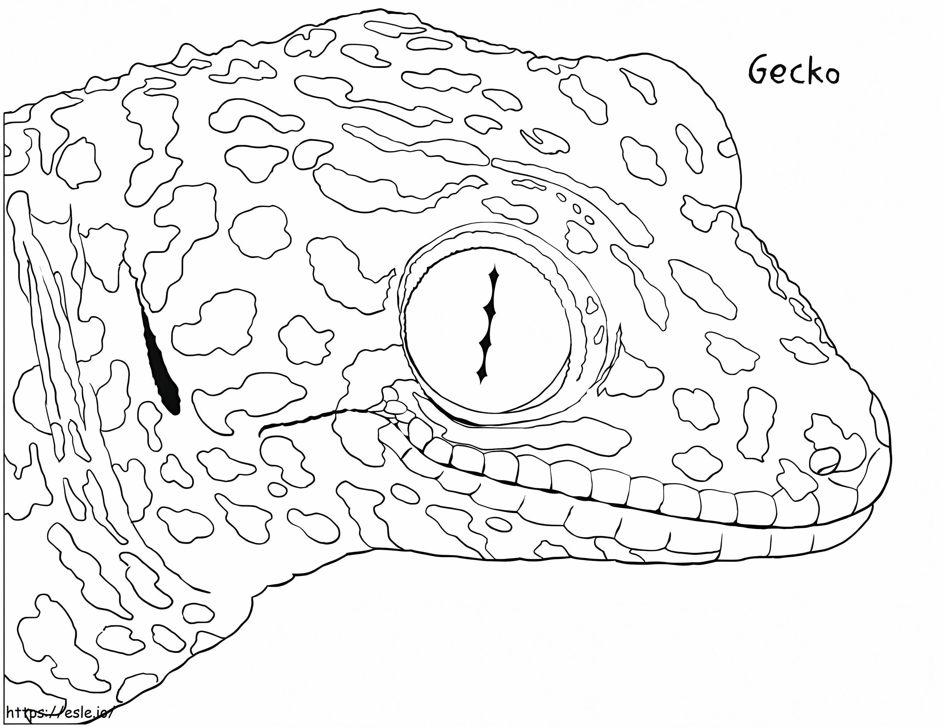 Tavallinen Tokay Gecko värityskuva