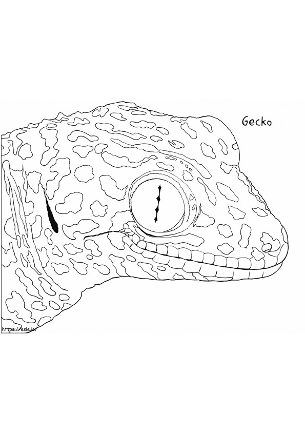 Coloriage Gecko Tokay commun à imprimer dessin