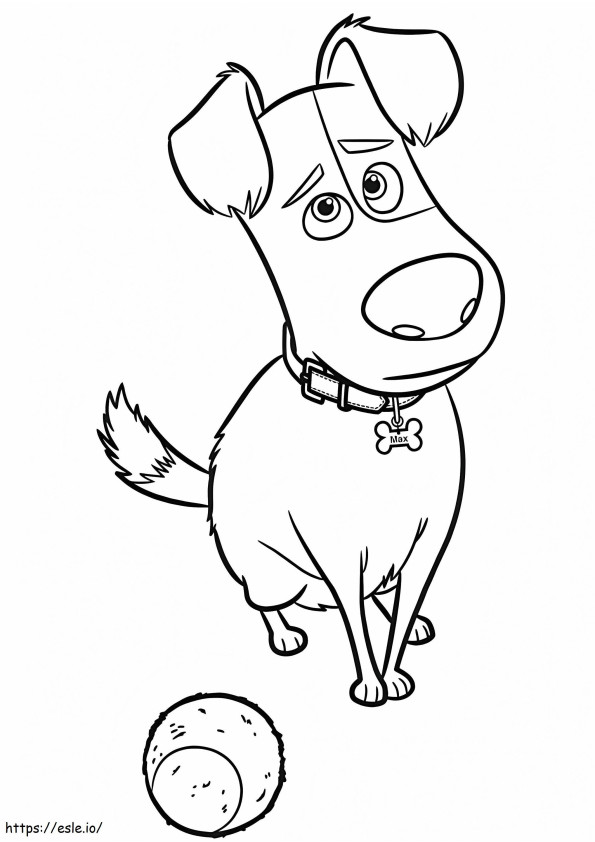 1559695748 Max With Tennis Ball A4 coloring page