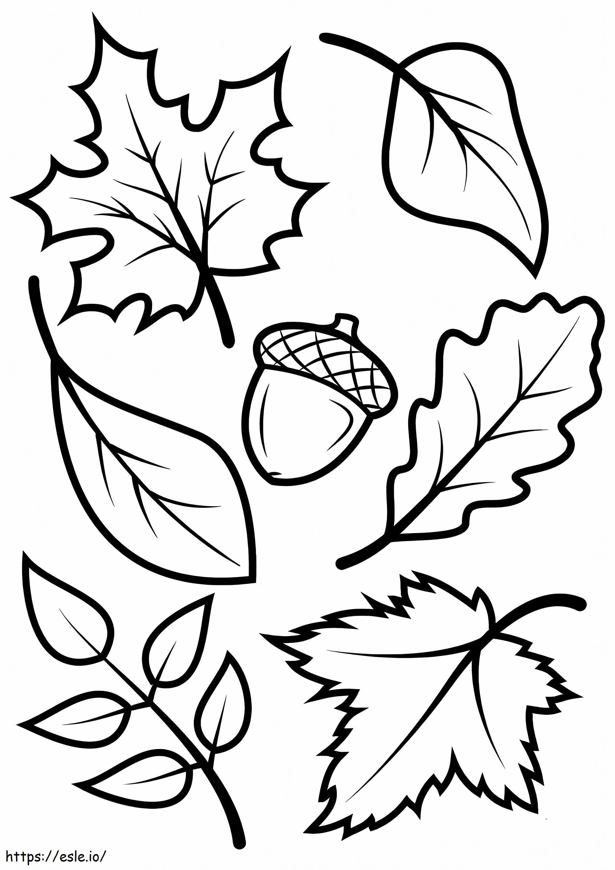 Herbstblätter und Eichel ausmalbilder