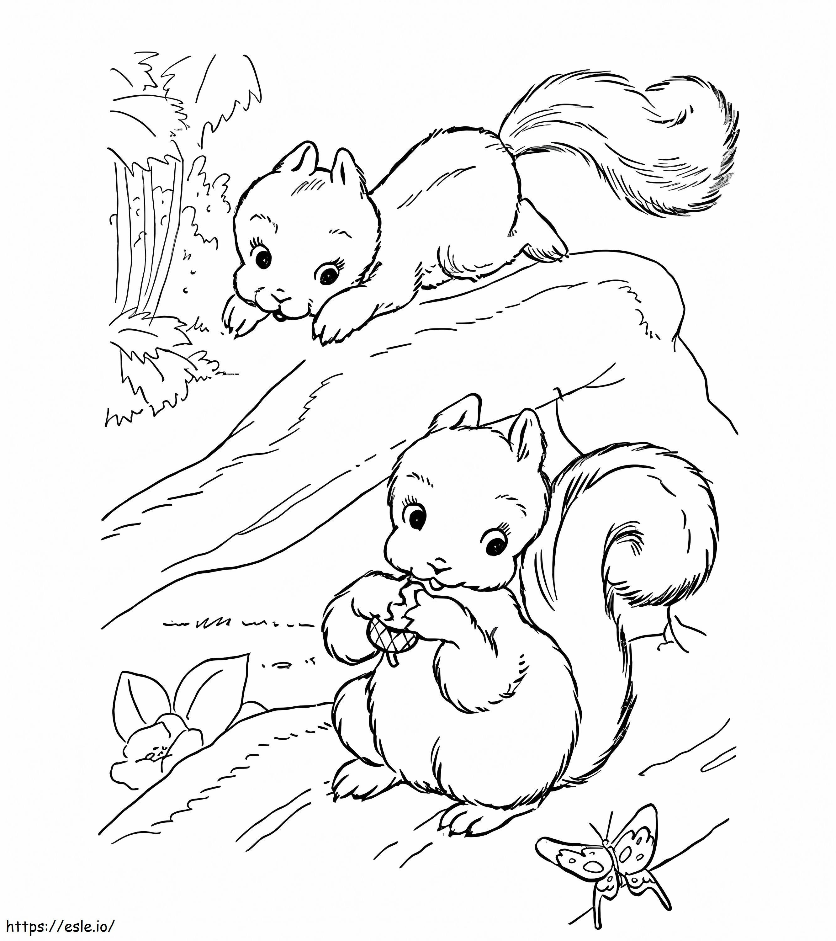 Două veverițe de colorat