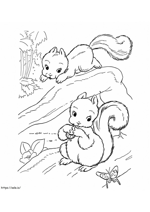Coloriage Deux écureuils à imprimer dessin