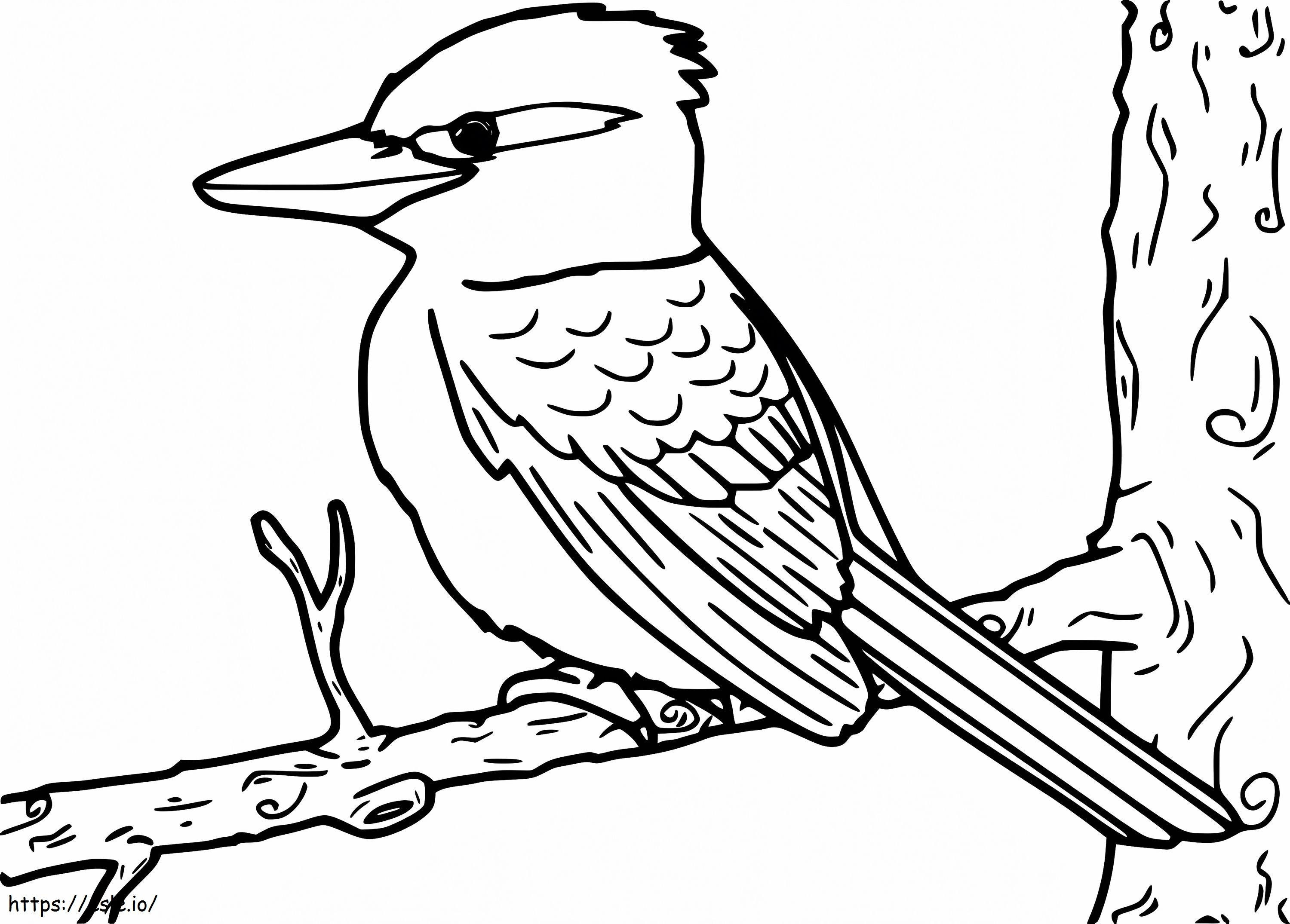 Kookaburra Printable coloring page