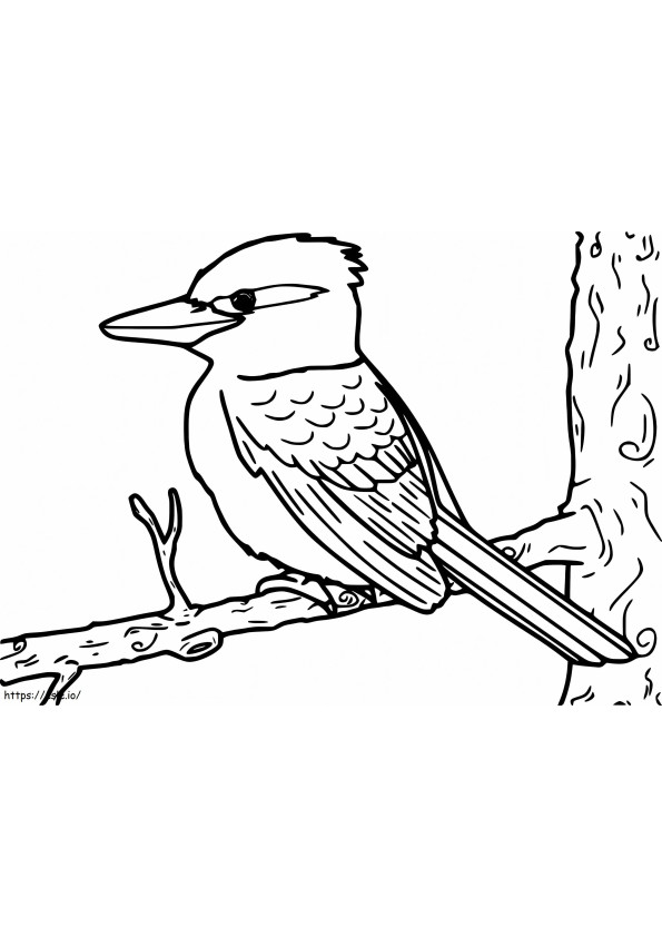 Kookaburra para impressão para colorir