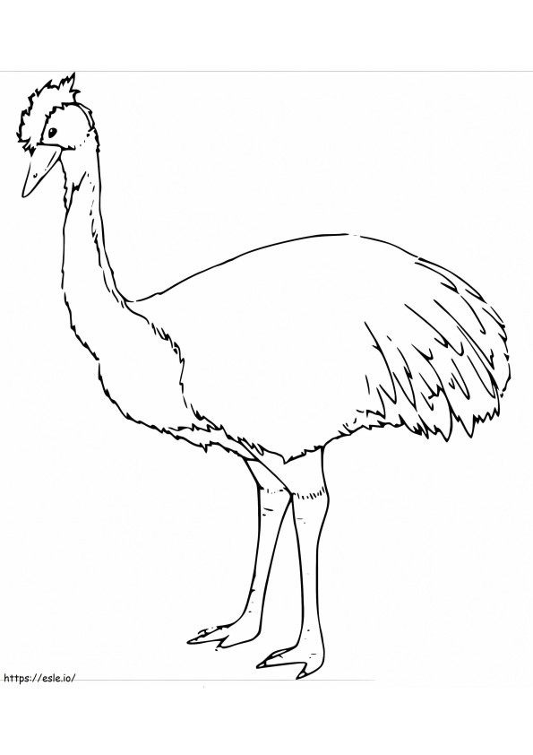 Cassowary 1 coloring page
