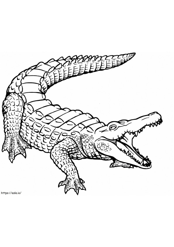 Crocodilo incrível para colorir