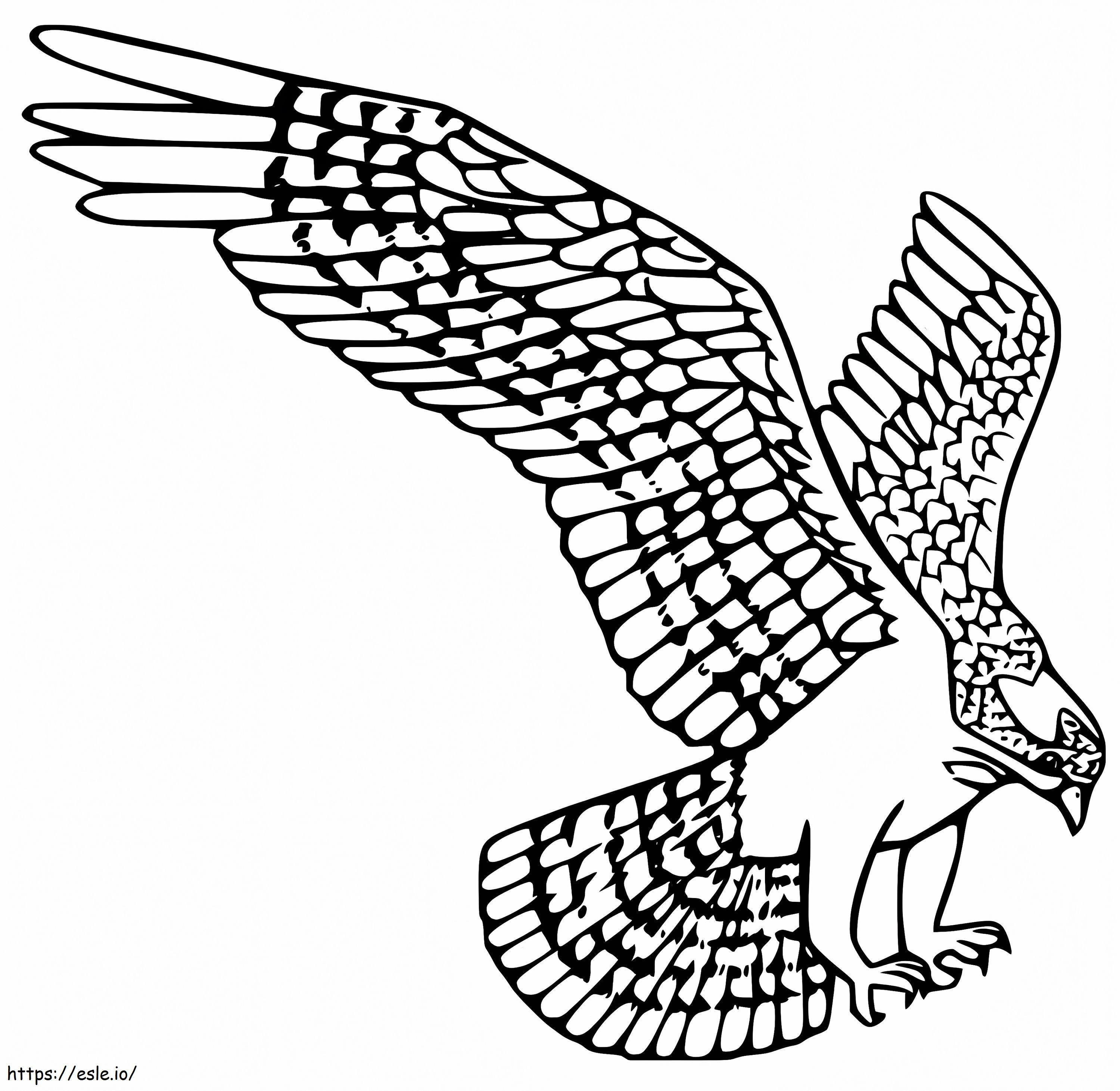 Osprey Hunting coloring page