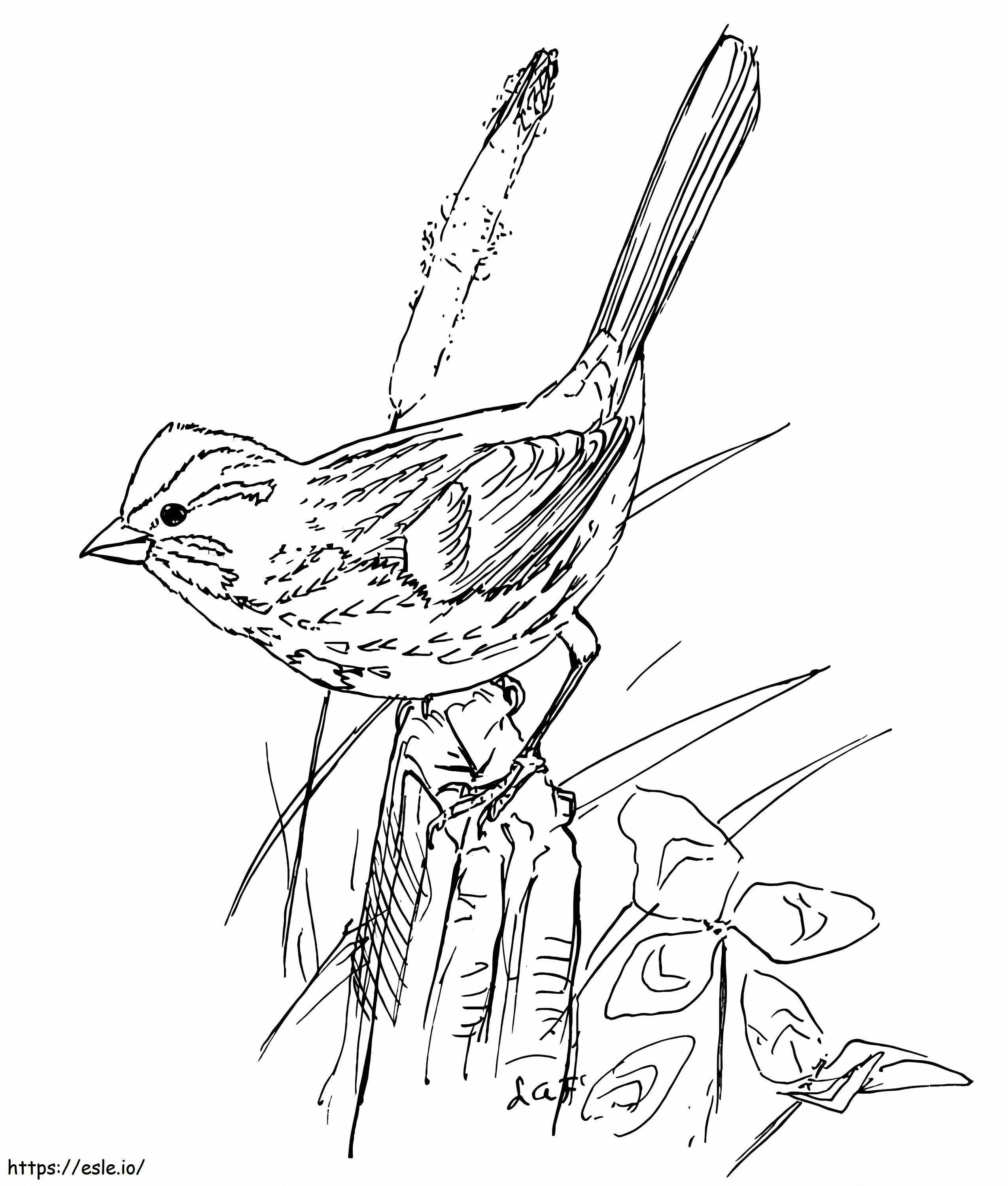 Veréb madár kifestő
