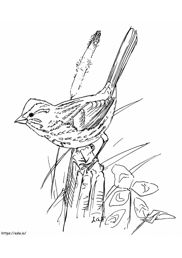 Coloriage Oiseau moineau à imprimer dessin