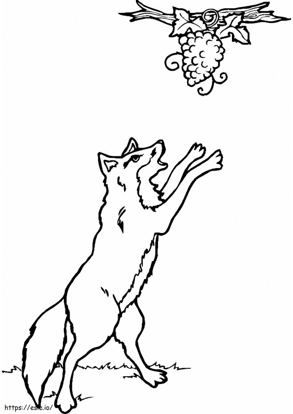 Wolf And Grapefruits