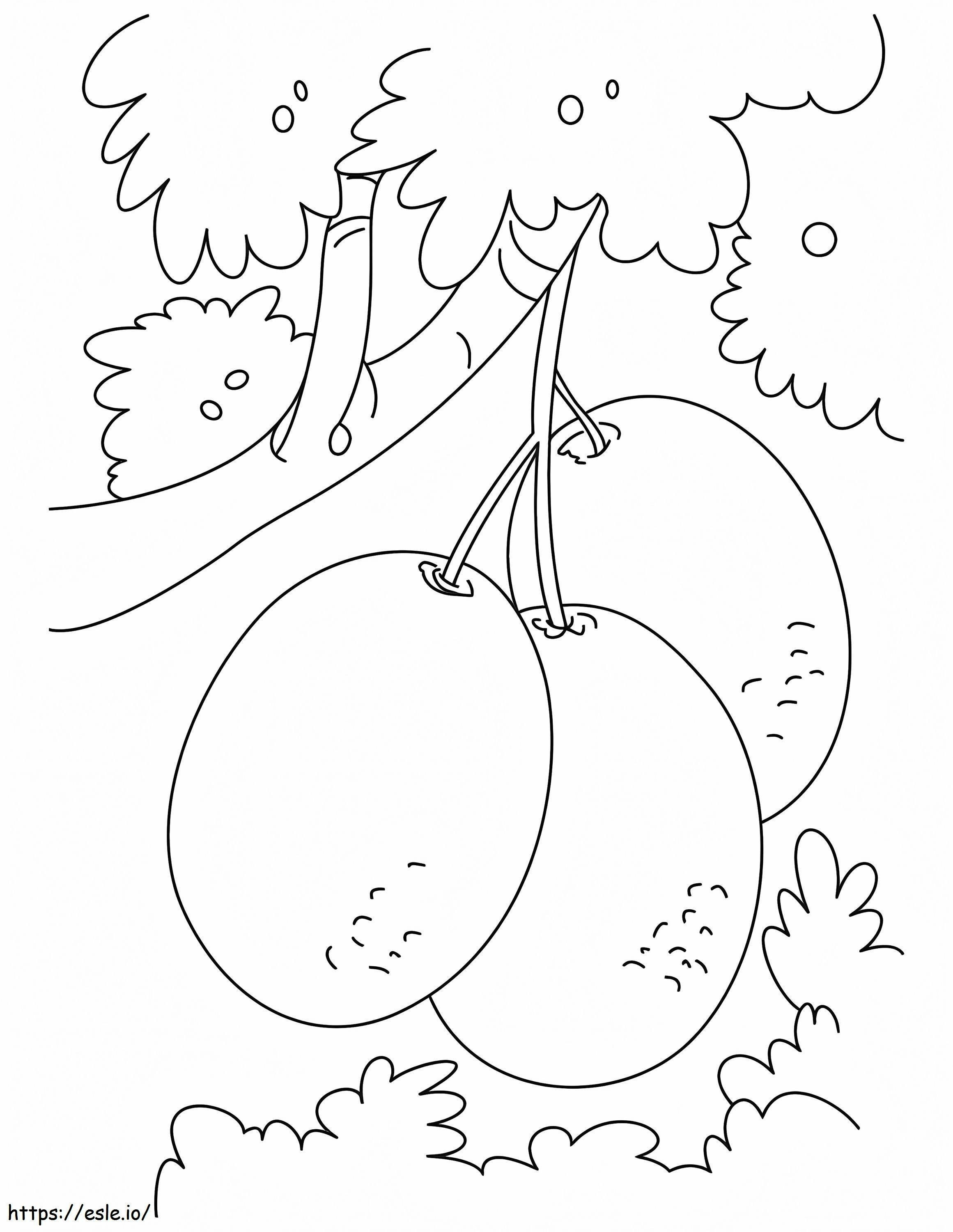 Bunch Of Kiwi On The Tree coloring page