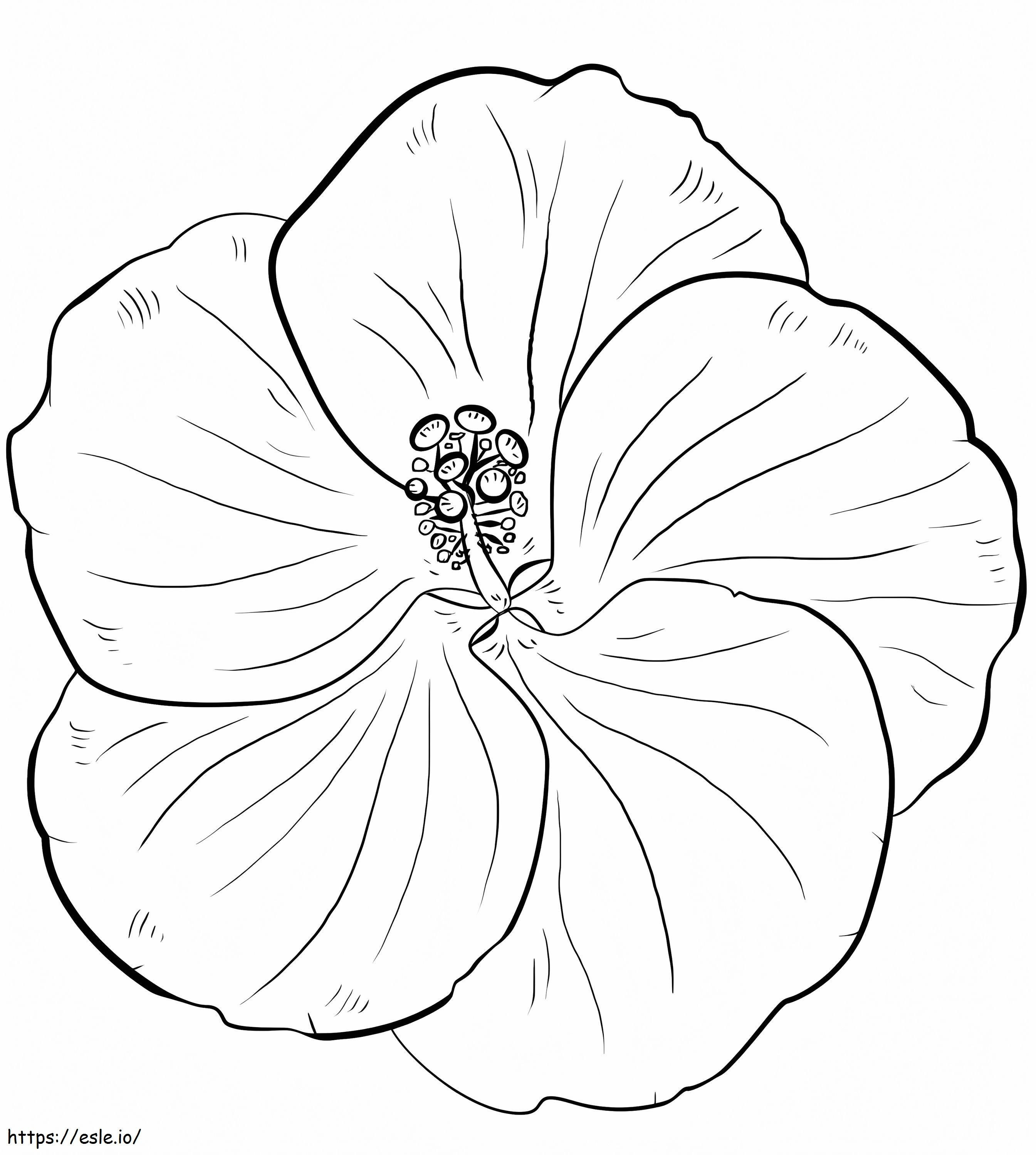 Yellow Hibiscus coloring page