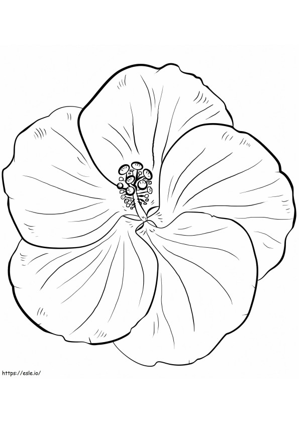 Yellow Hibiscus coloring page