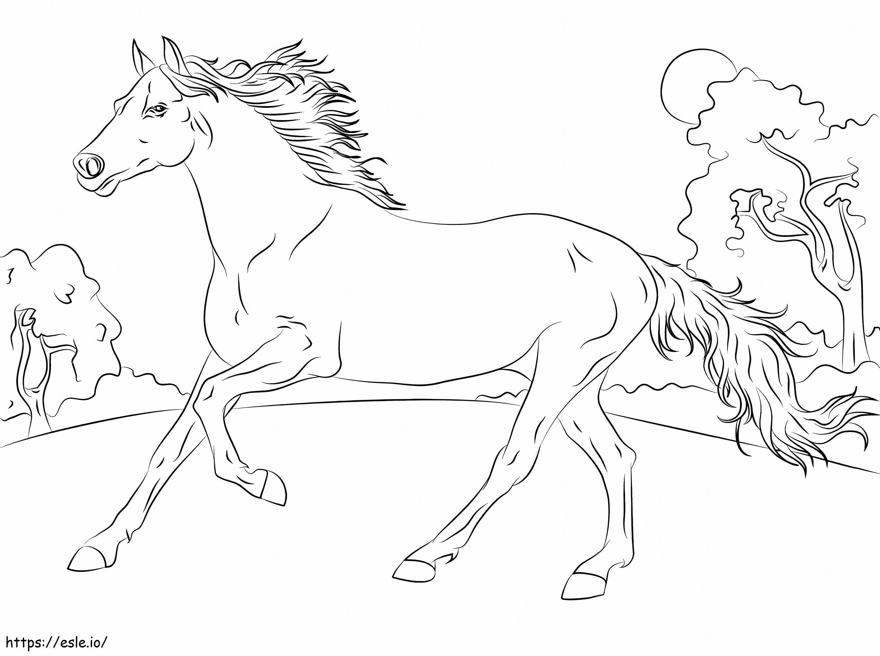 Cavalo Árabe para colorir