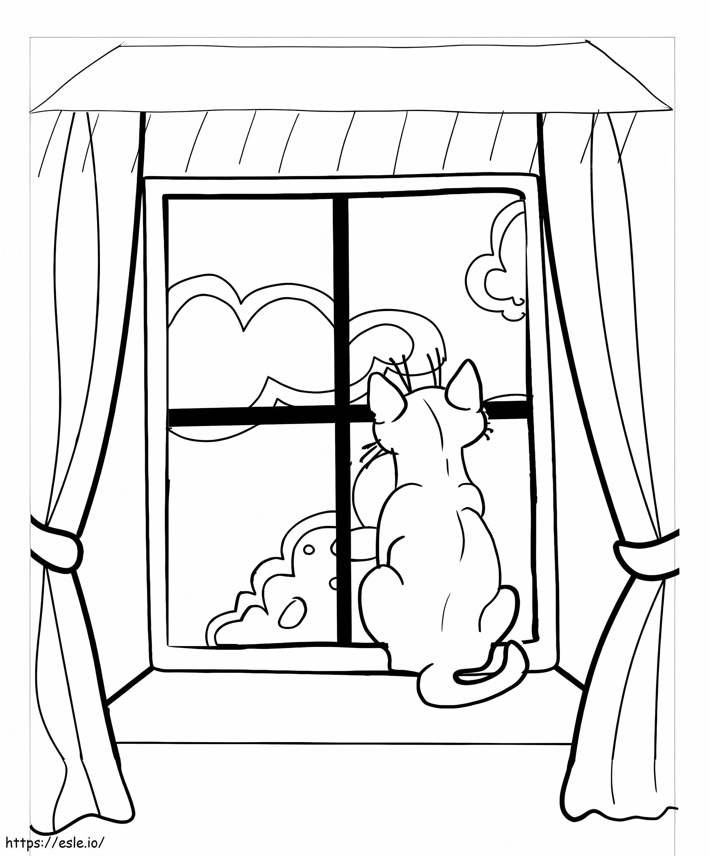 Gato sentado na janela para colorir
