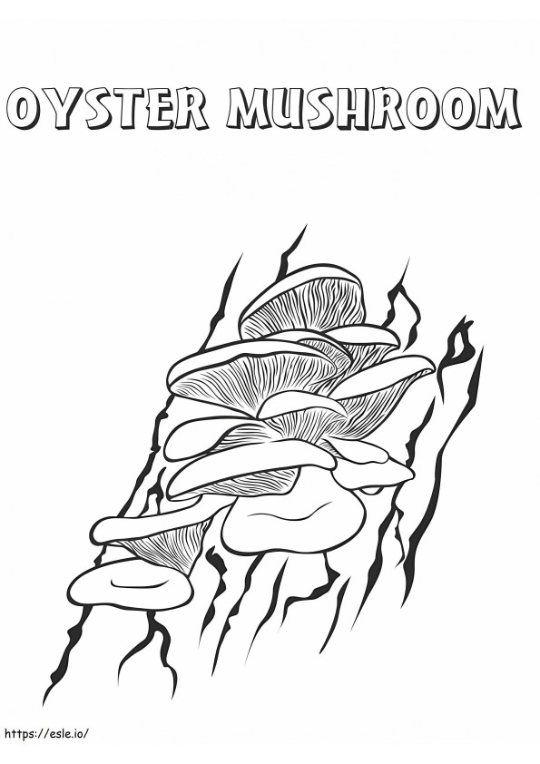 Oyster Mushrooms coloring page
