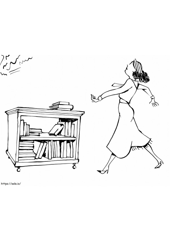 Bibliotecário 12
