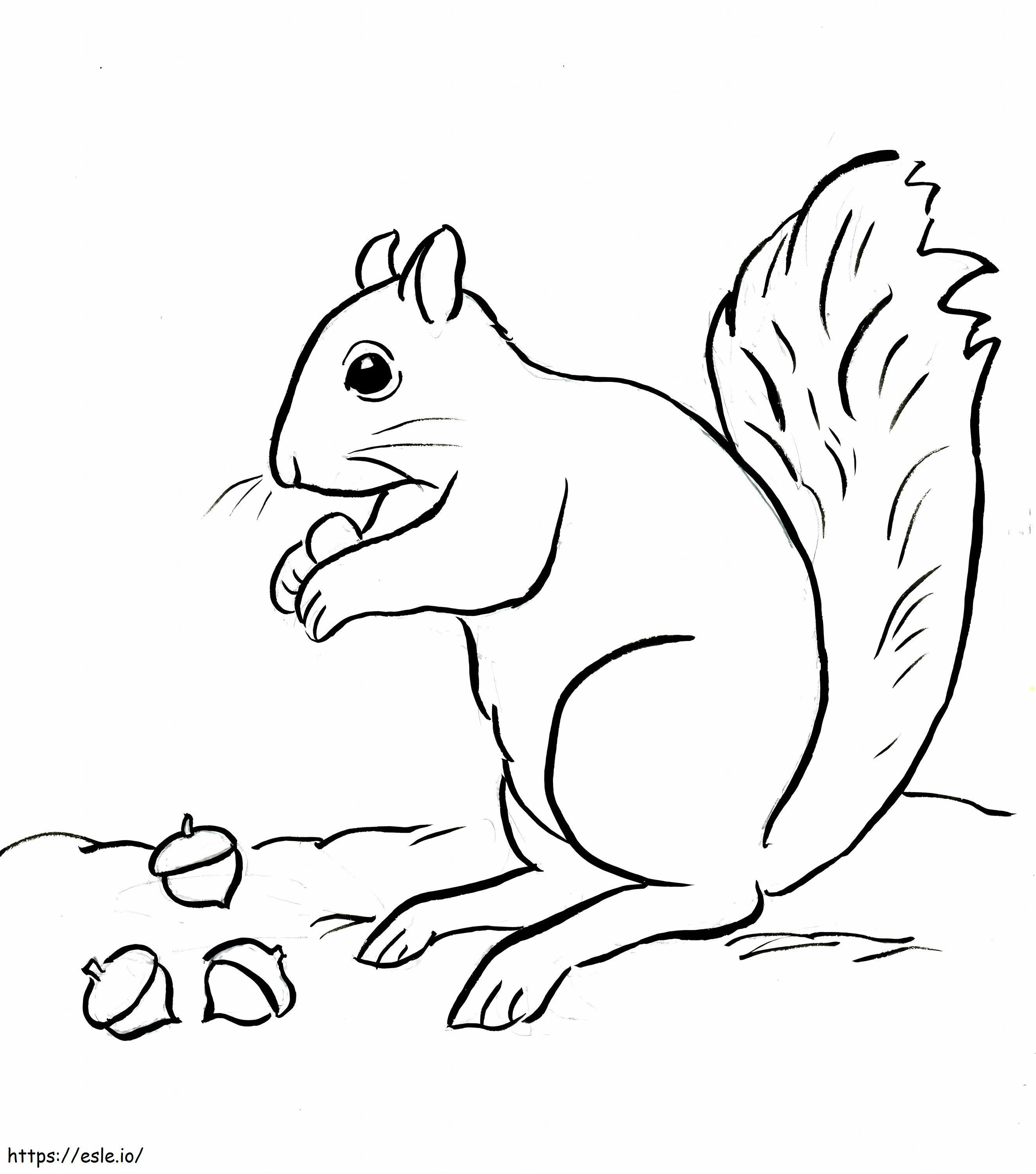 Squirrel And Three Scaled Acorns coloring page