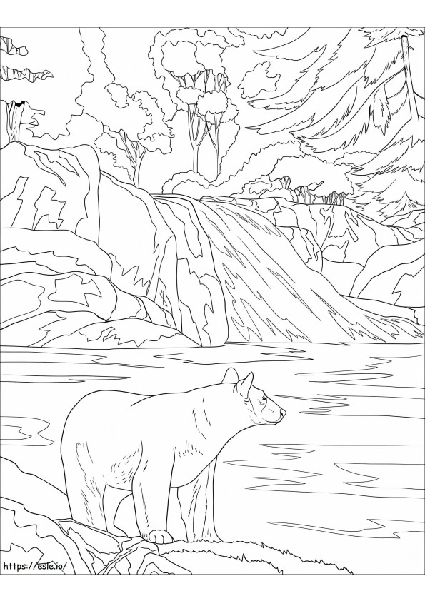 Wild Black Bear coloring page