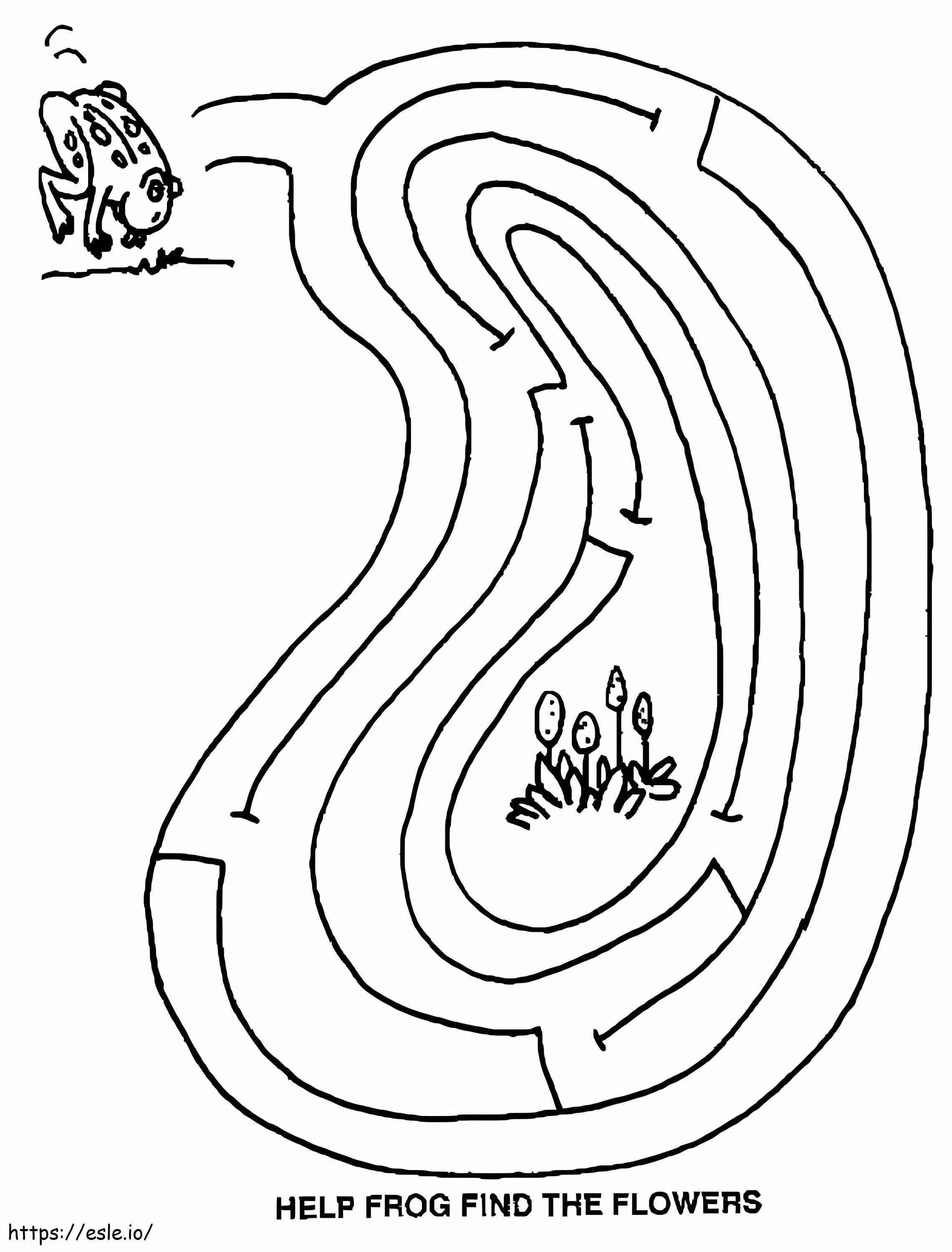Frog And Maze coloring page