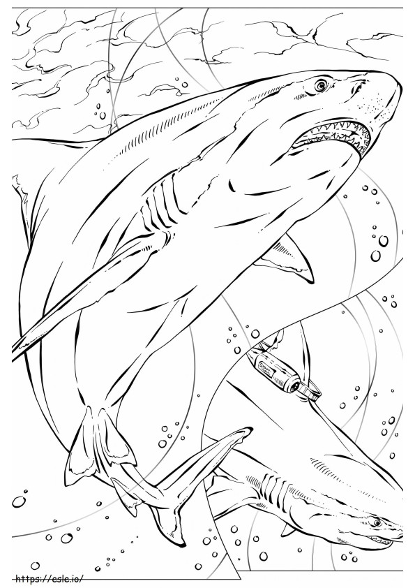 Tubarão em escala perfeita para colorir