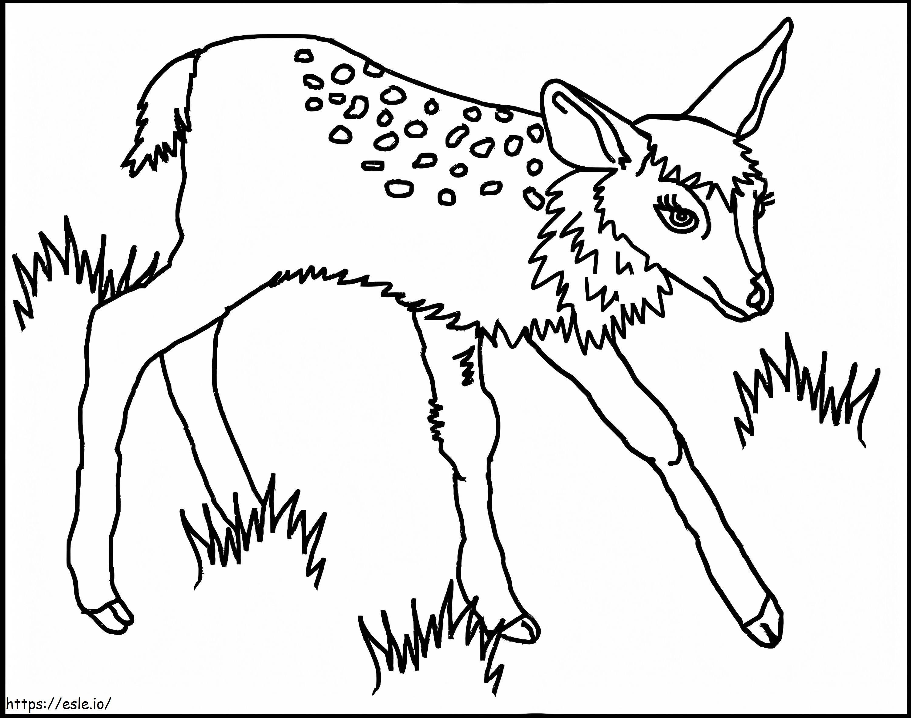 無料の印刷可能な子鹿 ぬりえ - 塗り絵