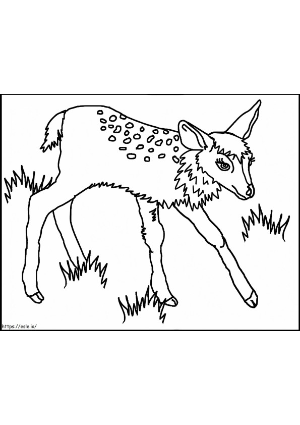 Free Printable Fawn coloring page