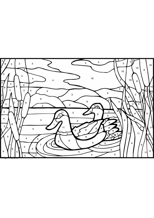 Mullard Ducks Color By Number