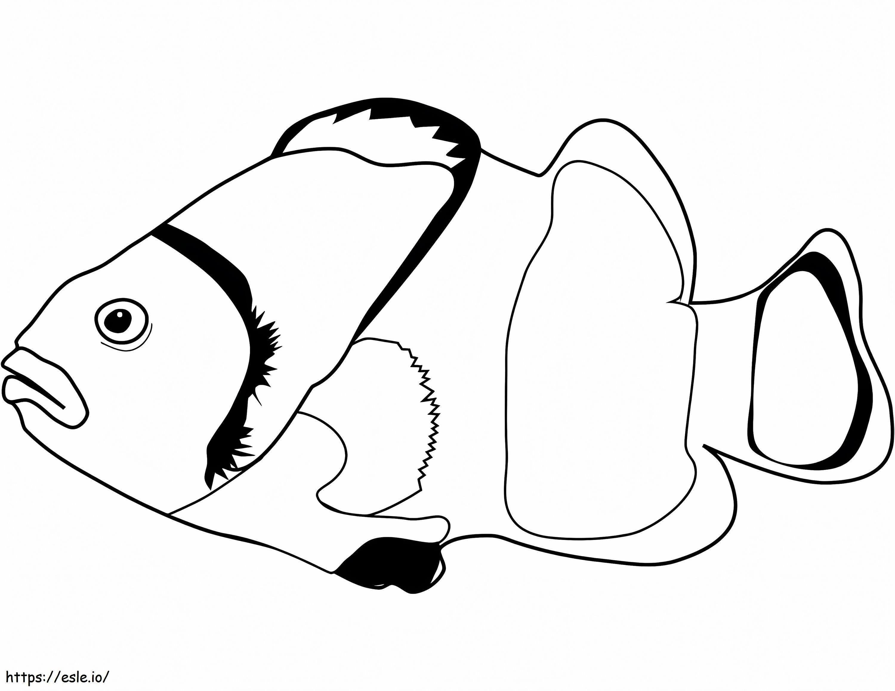 Peixe-palhaço normal para colorir