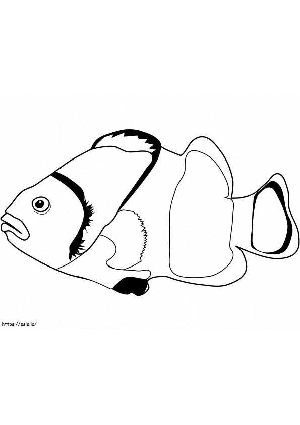 Normaali Clownfish värityskuva
