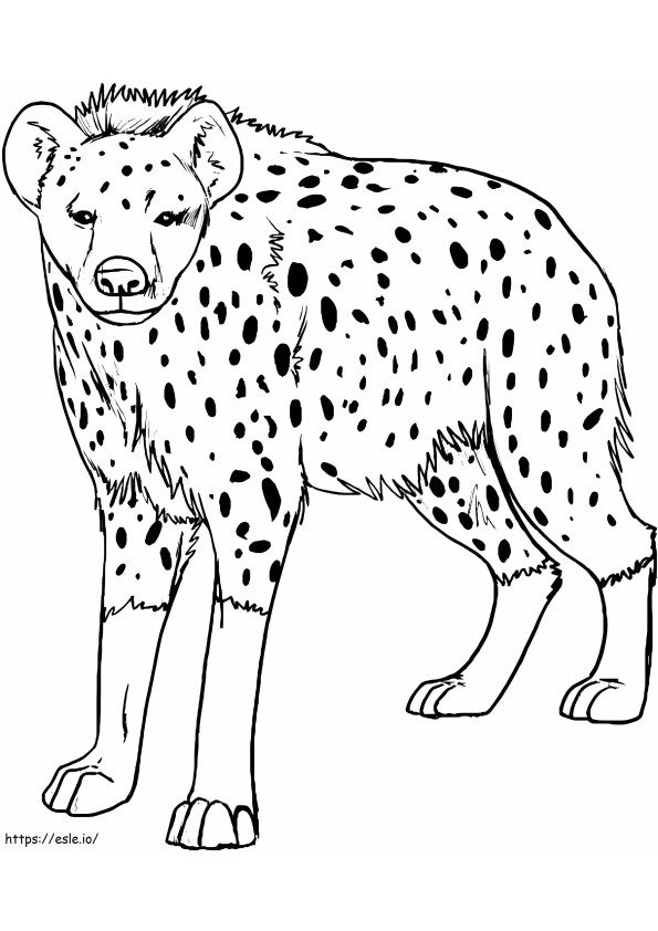 Coloriage Hyène sauvage à imprimer dessin