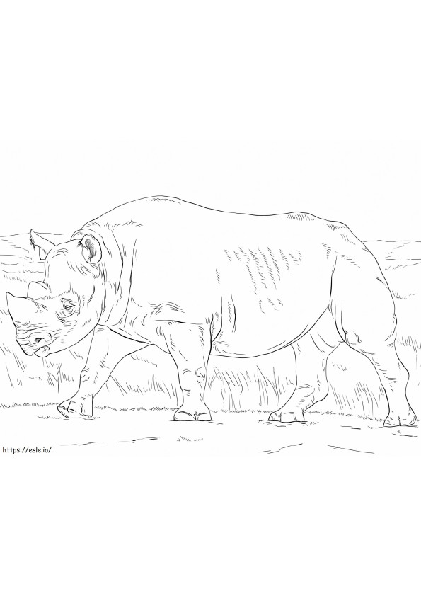 Coloriage Rhinocéros noir à imprimer dessin