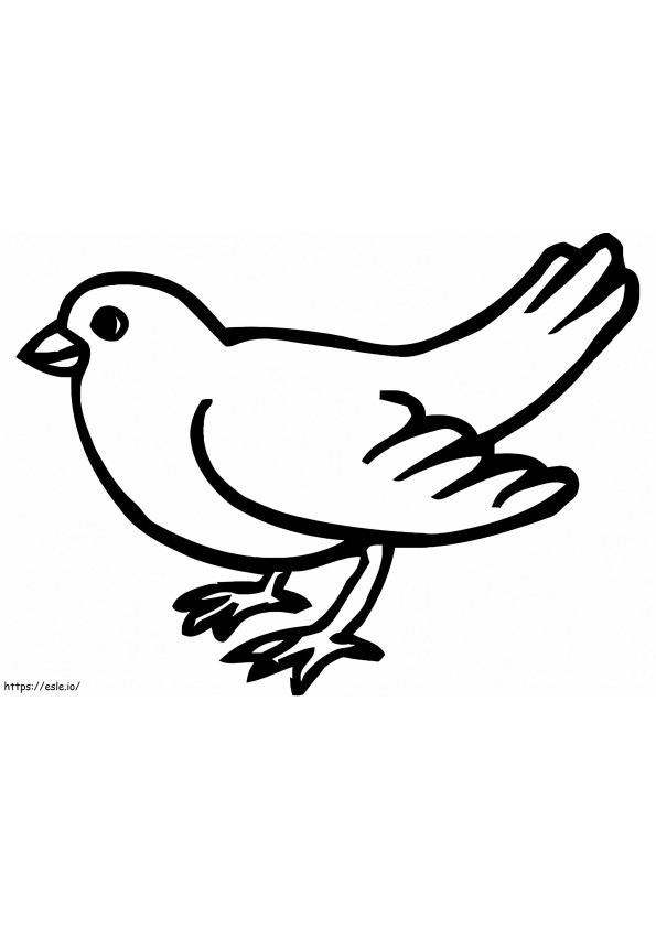 Desen de pasăre canar de colorat