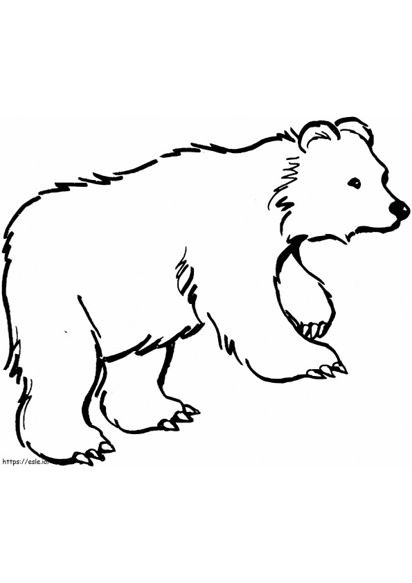 Urso Marrom 2 para colorir