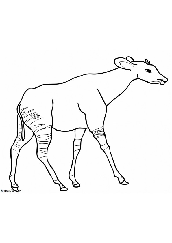 Okapi From Central Africa coloring page