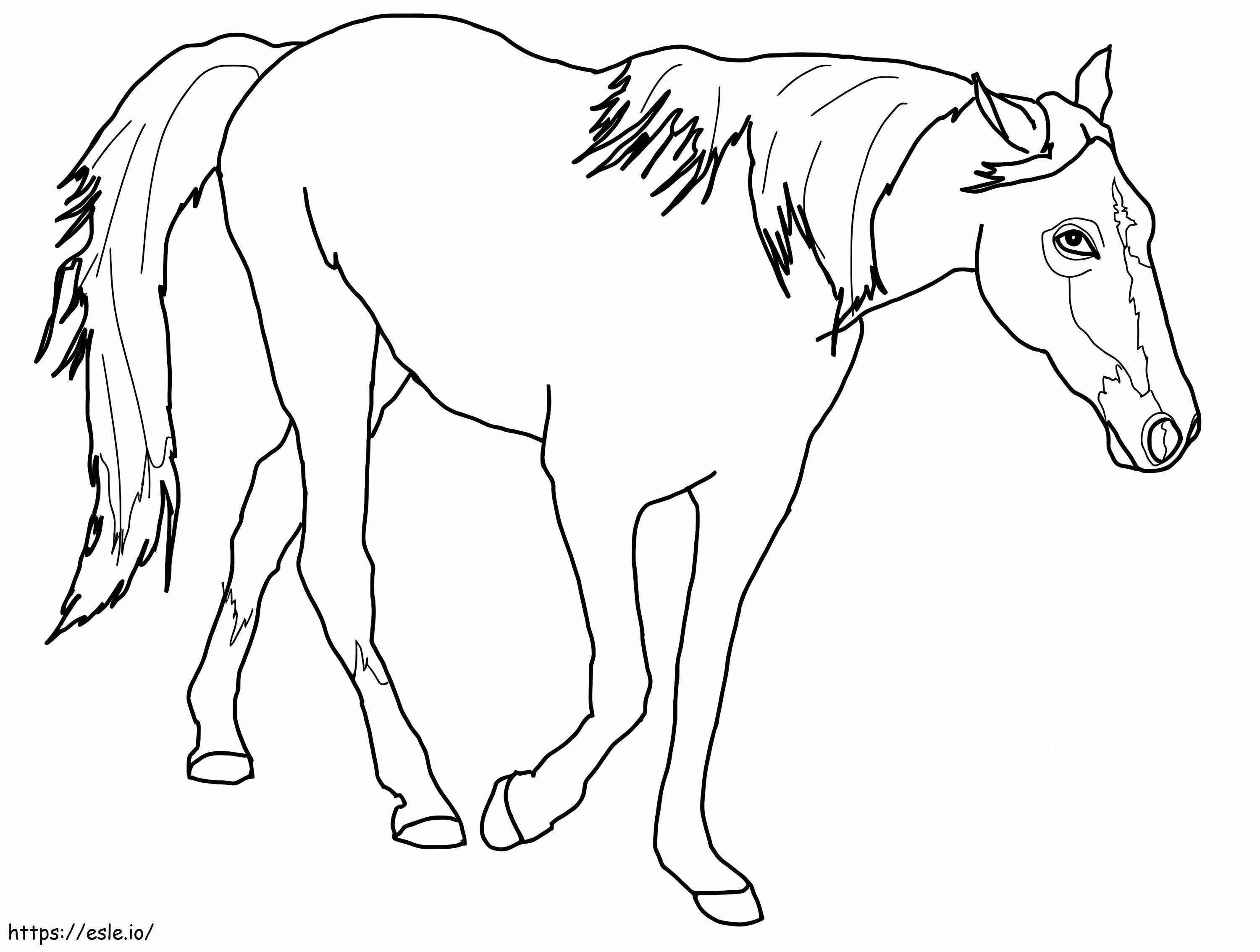 Tennessee-Pferd ausmalbilder