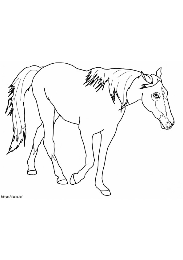 Tennesseen hevonen värityskuva