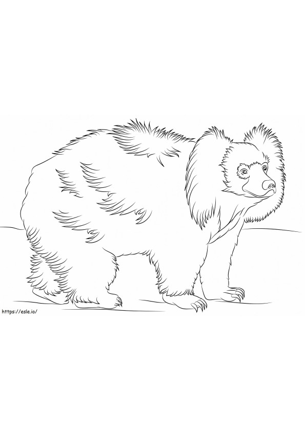 Normaali Sloth Bear värityskuva