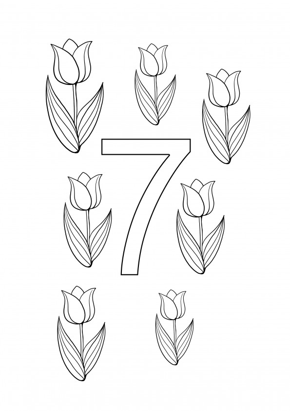 página para colorir número sete tulipas, grátis para imprimir e baixar