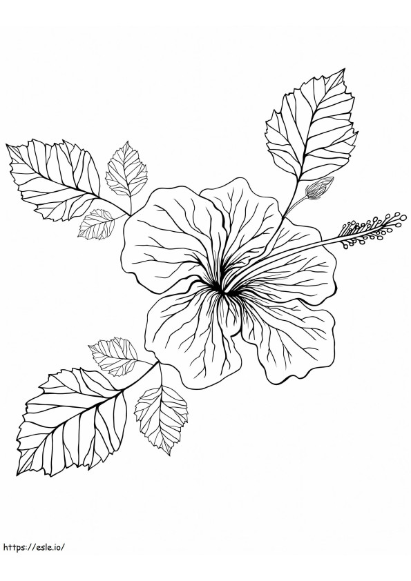 Coloriage Fleur d'hibiscus 12 à imprimer dessin
